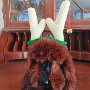 Dog and Cat Antlers New Size Xs-Sm